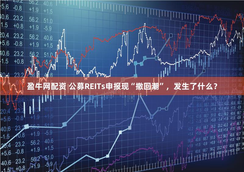 盈牛网配资 公募REITs申报现“撤回潮”，发生了什么？