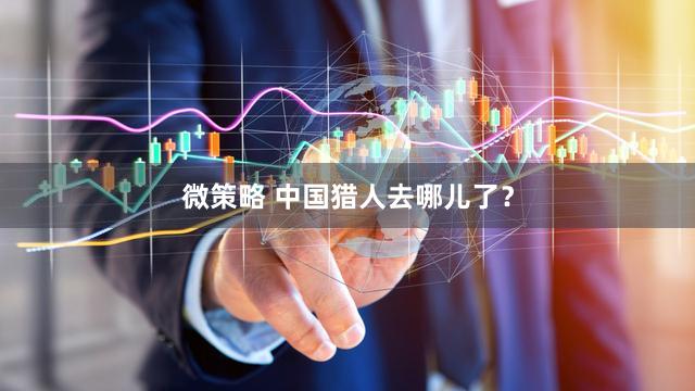 微策略 中国猎人去哪儿了？