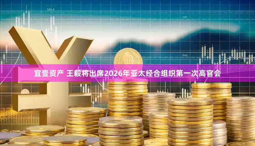 宜壹资产 王毅将出席2026年亚太经合组织第一次高官会