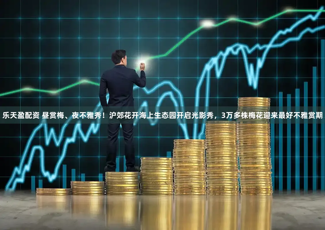 乐天盈配资 昼赏梅、夜不雅秀！沪郊花开海上生态园开启光影秀，3万多株梅花迎来最好不雅赏期