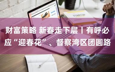 财富策略 新春走下层丨有呼必应“迎春花”、督察湾区团圆路
