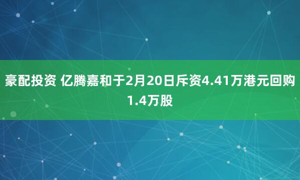 豪配投资 亿腾嘉和于2月20日斥资4.41万港元回购1.4万股