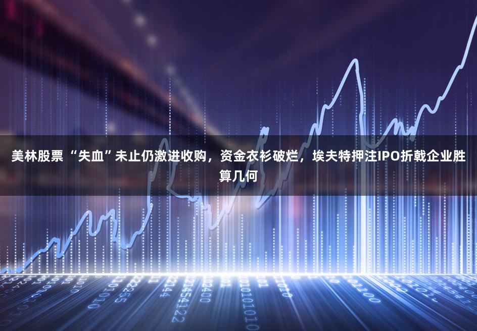 美林股票 “失血”未止仍激进收购，资金衣衫破烂，埃夫特押注IPO折戟企业胜算几何
