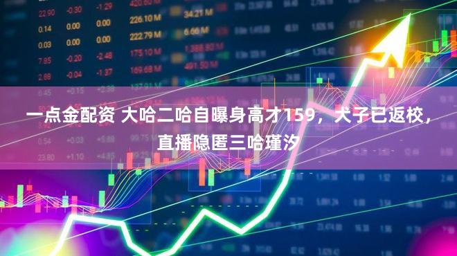 一点金配资 大哈二哈自曝身高才159，犬子已返校，直播隐匿三哈瑾汐