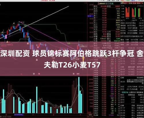 深圳配资 球员锦标赛阿伯格跳跃3杆争冠 舍夫勒T26小麦T57