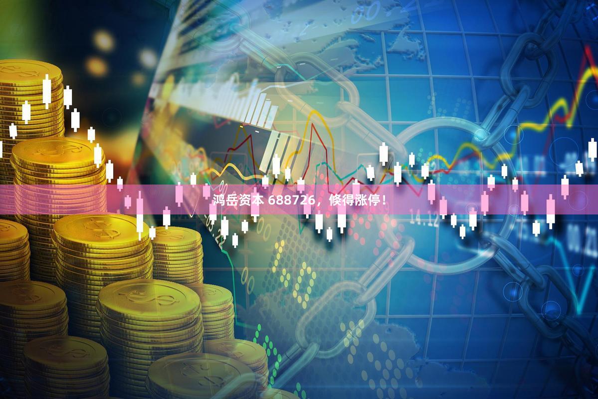 鸿岳资本 688726，倏得涨停！