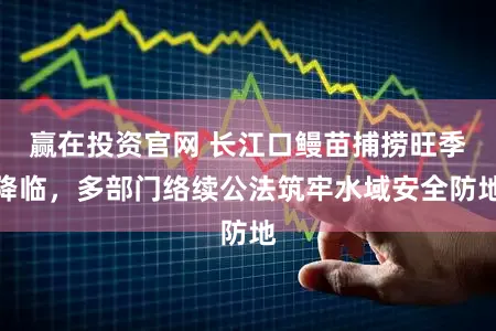 赢在投资官网 长江口鳗苗捕捞旺季降临，多部门络续公法筑牢水域安全防地